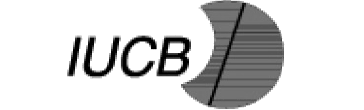 USE - ICUB Logo Greyscale